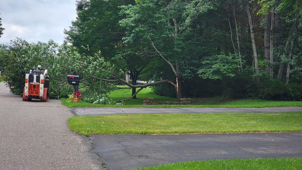 Skid-steer clearing fallen tree from suburban driveway