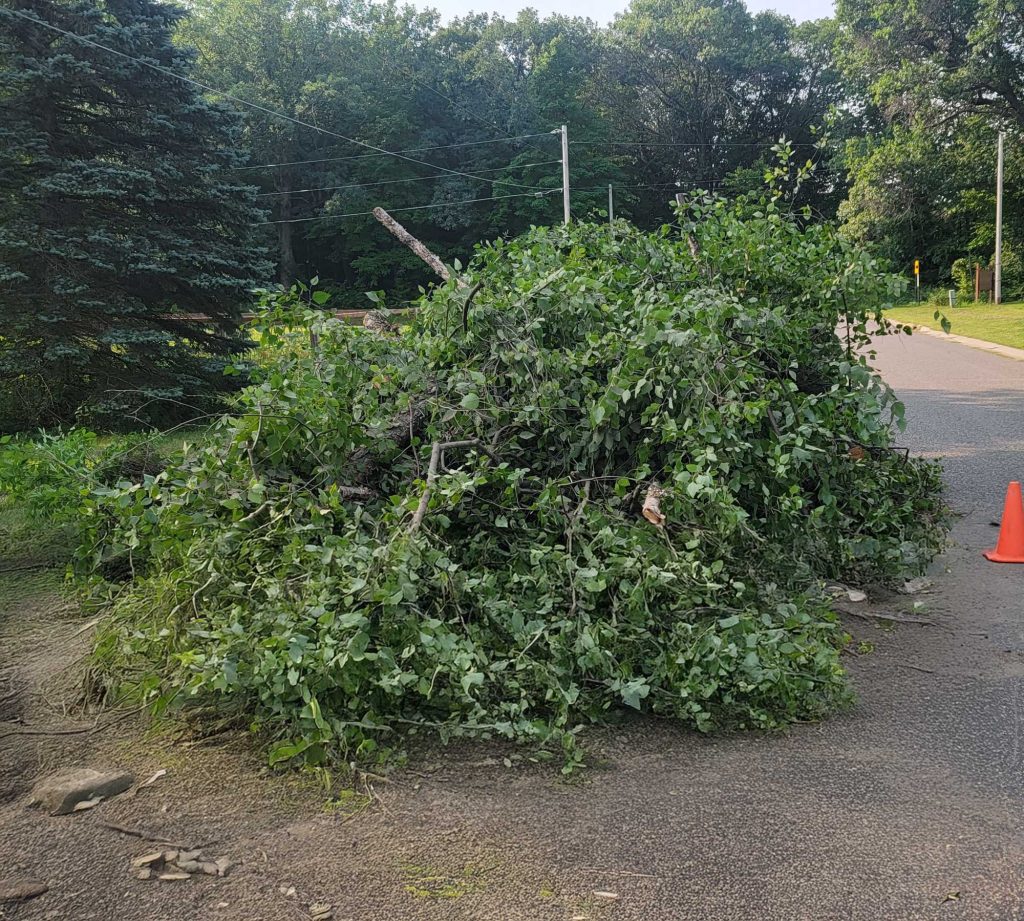 Fallen tree branches blocking residential road with cone
