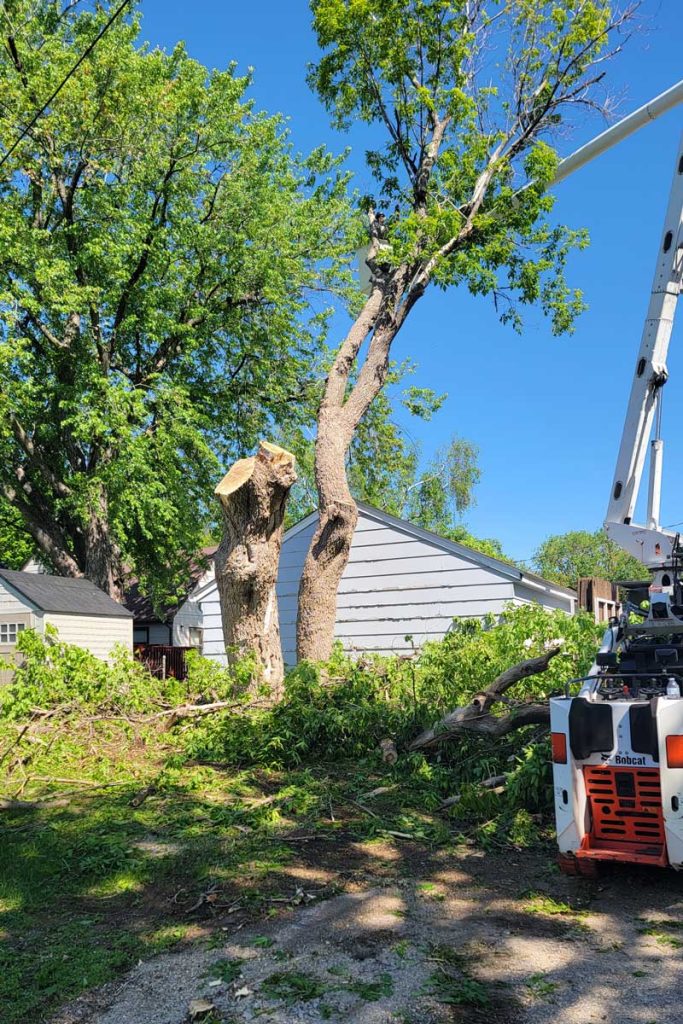 Tree removal in residential backyard with bucket truck